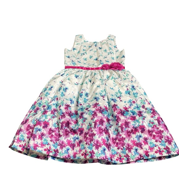 Dress Up by Gymboree Floral Dress with Pink and Purple Accents Girl 10 - Picture 1 of 7